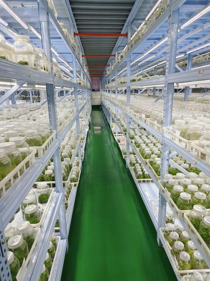Tissue Culture Rack Lab Hyderabad